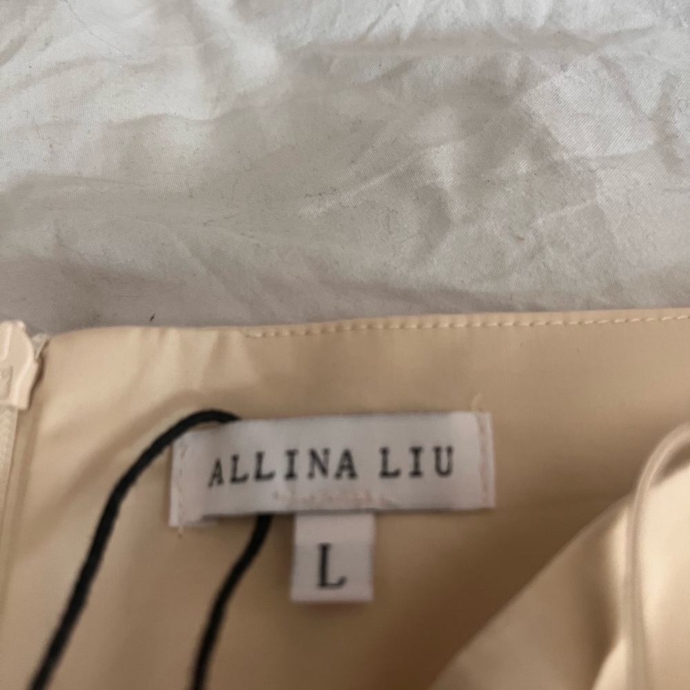 Allina liu - Araki pants with bow detail. Size L - Picture 5 of 7